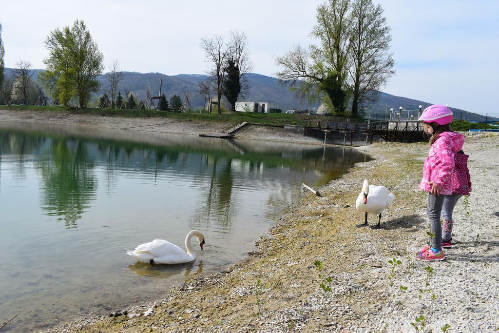 Apartamento Borovnica Catez Catez ob Savi Exterior foto